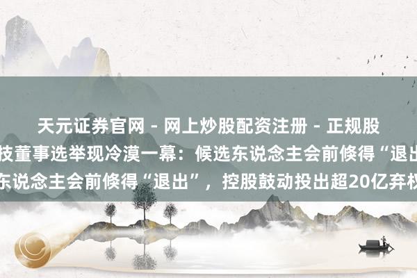 天元证券官网 - 网上炒股配资注册 - 正规股票杠杆怎么开户 冠捷科技董事选举现冷漠一幕：候选东说念主会前倏得“退出”，控股鼓动投出超20亿弃权票
