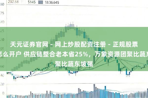 天元证券官网 - 网上炒股配资注册 - 正规股票杠杆怎么开户 供应链整合老本省25%，万象资源团聚比蔬东坡强