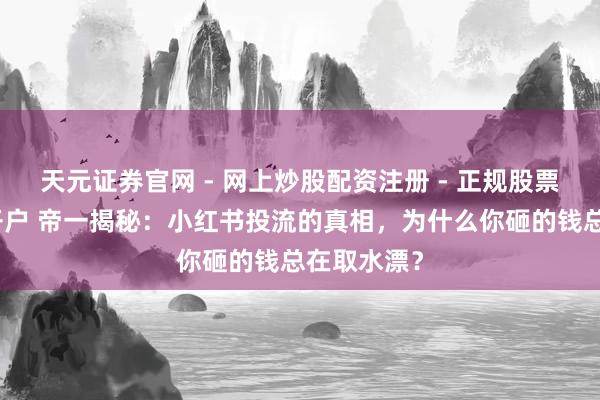 天元证券官网 - 网上炒股配资注册 - 正规股票杠杆怎么开户 帝一揭秘：小红书投流的真相，为什么你砸的钱总在取水漂？