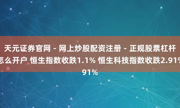 天元证券官网 - 网上炒股配资注册 - 正规股票杠杆怎么开户 恒生指数收跌1.1% 恒生科技指数收跌2.91%