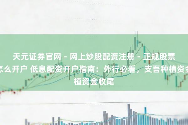 天元证券官网 - 网上炒股配资注册 - 正规股票杠杆怎么开户 低息配资开户指南：外行必看，支吾种植资金收尾