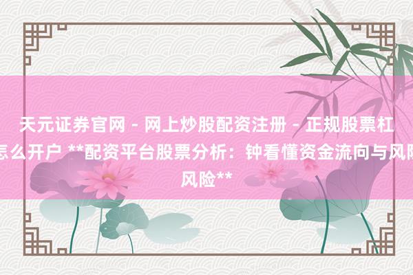 天元证券官网 - 网上炒股配资注册 - 正规股票杠杆怎么开户 **配资平台股票分析：钟看懂资金流向与风险**